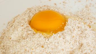 Egg Flour Whole Wheat