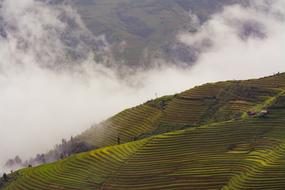 Agriculture Clouds Cropland
