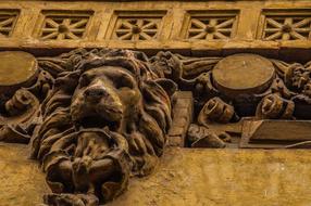 Old lion carving