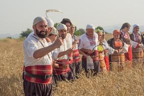 Harvest Summer Nature