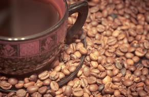 Cup Of Coffee Beans