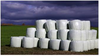 Sky Round Bales Straw