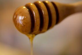 wooden honey spoon, close-up