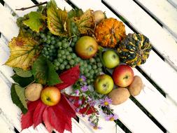 Fruits Harvest Autumn