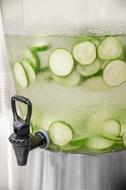 Water Cucumber Green