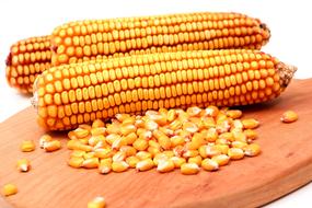 Cobs Food Vegetable