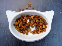 Cat Pet Dry Food