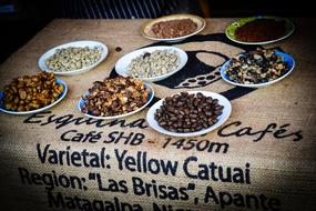 Coffee Beans Fair Culture