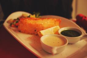 Salmon Fish Food