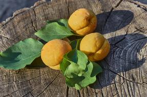 Apricots Food Fruit