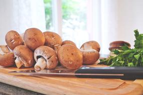 Mushroom Food Cook