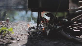 Fire Wood Camping