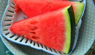 two slices of watermelon on a plate