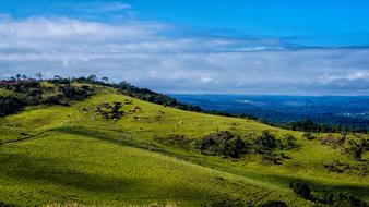 Nature Blue Green