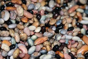 Beans Vegan Food
