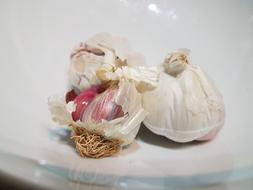 Food Still Life Garlic