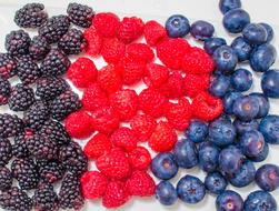 Fruits Blueberries Food