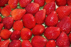 Background Strawberry Red