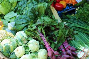 Spring Vegetables Fresh