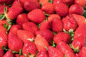 Strawberries Fruit Food