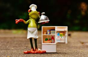 Frog Cooking Figure