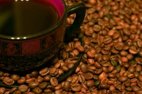 Drink Beans Food