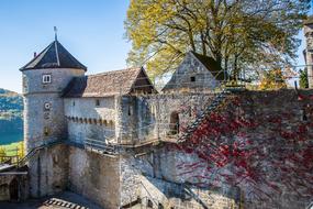 Castle Stetten KÃ¼nzelsau Cooking