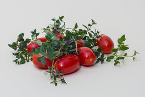 Herbs Thyme Tomatoes Culinary