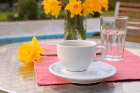 Coffee Garden Caffeine