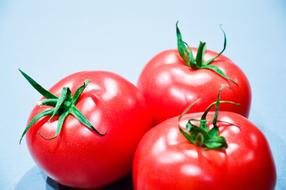 red Healthy Tomatoes Vegetables