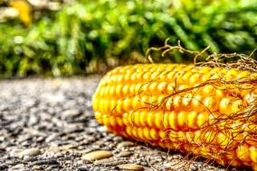 Corn On The Cob Ground