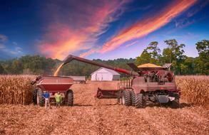 Farming Harvest Agriculture