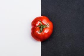 Red Tomato vegetable Fruit at white and black background