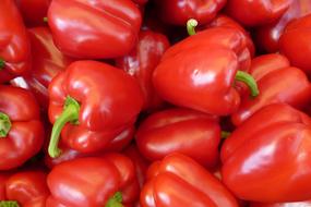 red paprika sweet peppers