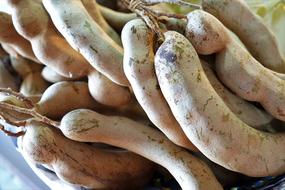 vegetables harvest