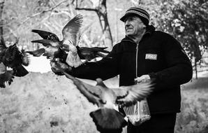 Pigeons Man Black And White Photo