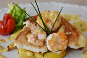 Fish Plate Scholl Fillets