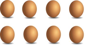 chicken eggs food graphic