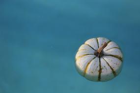 Water Pumpkin Wet