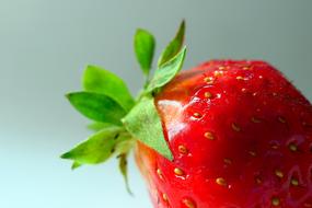 Strawberry Fruit Fruits