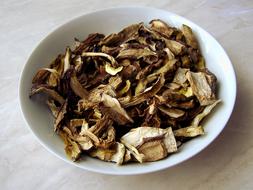 Mushrooms Dried Autumn Wild