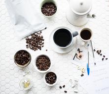 Coffee Beans Seeds