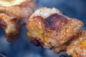 Shish Kebab Meat Coals