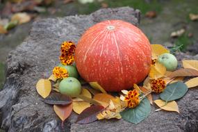 Pumpkin Autumn Vegetable