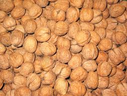 unpeeled Walnuts, background, healthy food