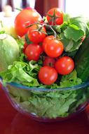 Salad Tomatoes Healthy