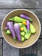 Vegetables Eggplant in Bowl