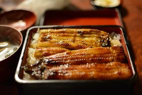 Eel Japan
