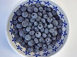 Blueberries Fruit Bowl