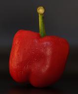 Paprika Red Pepper